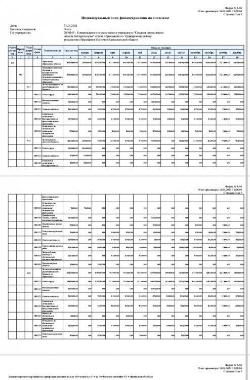 Жеке қаржыландыру жоспары