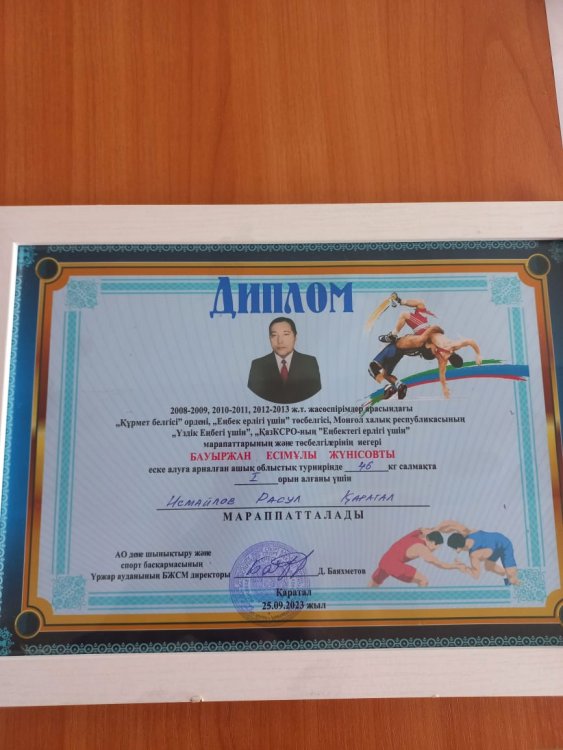 Жетістіктер